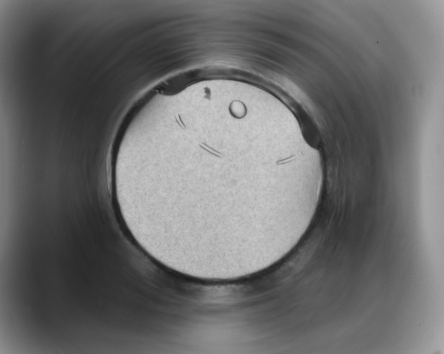 X0000088060988200706081646