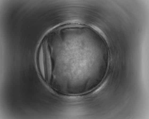 X0000088060989200706081646