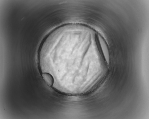 X0000088060990200706081646