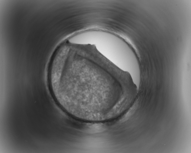 X0000088060991200706081646