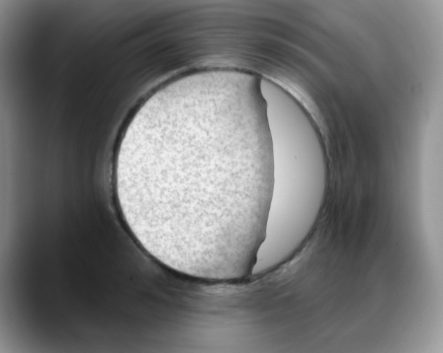 X0000088060992200706081646