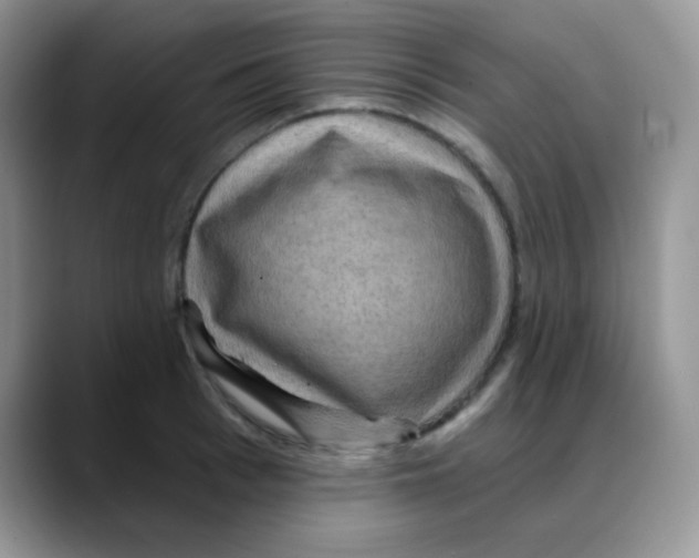 X0000088060993200706081646