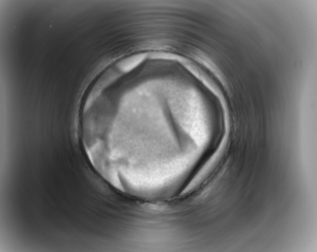 X0000088060994200706081646