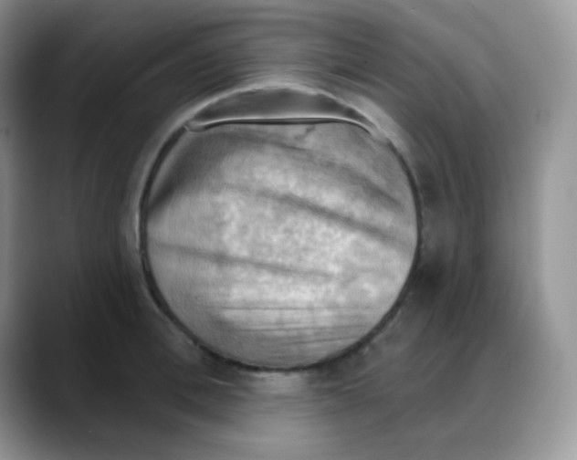 X0000088060996200706081646