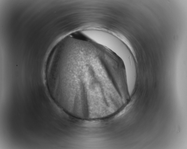 X0000088060997200706081646