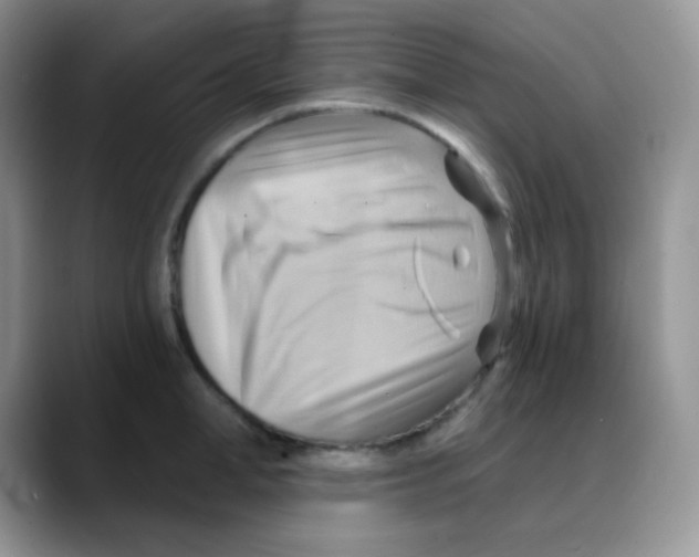 X0000088060998200706081646
