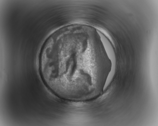 X0000088060999200706081646