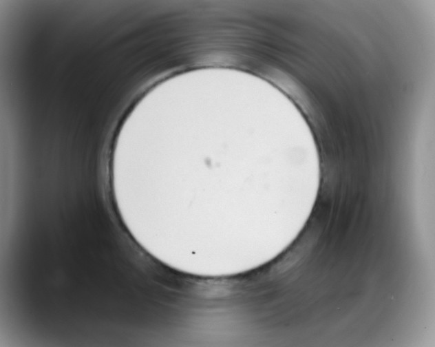 X0000088061000200706081646