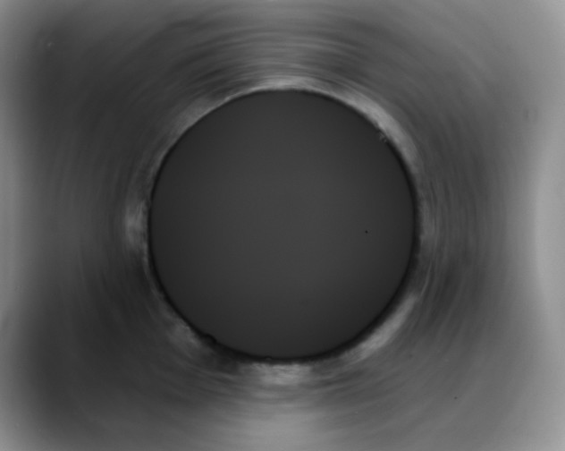 X0000088061001200706081646