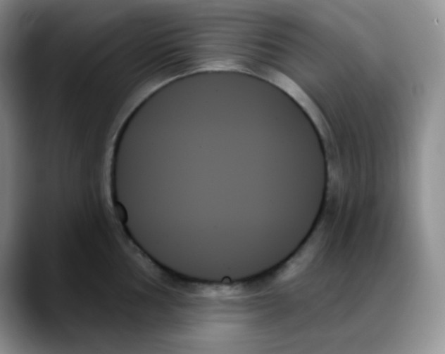 X0000088061002200706081646