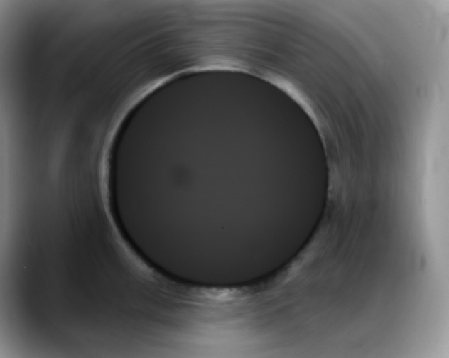 X0000088061003200706081646