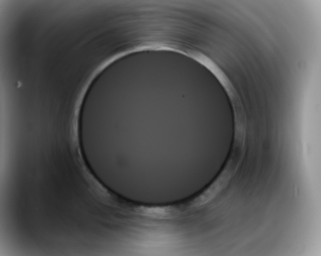 X0000088061004200706081646