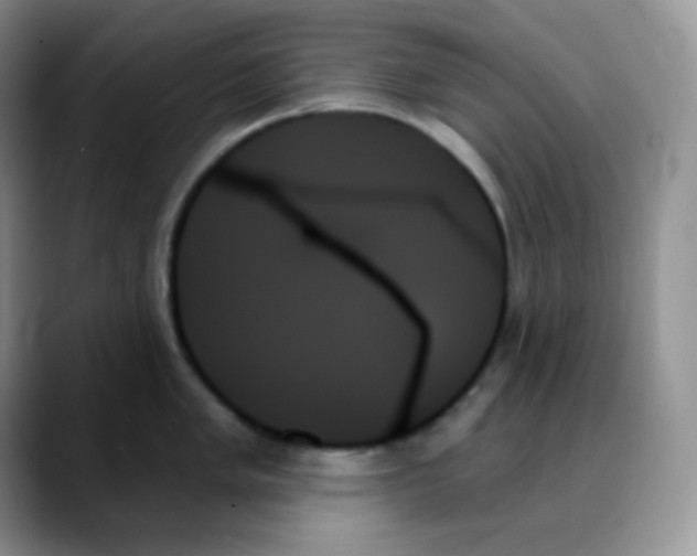 X0000088061005200706081646
