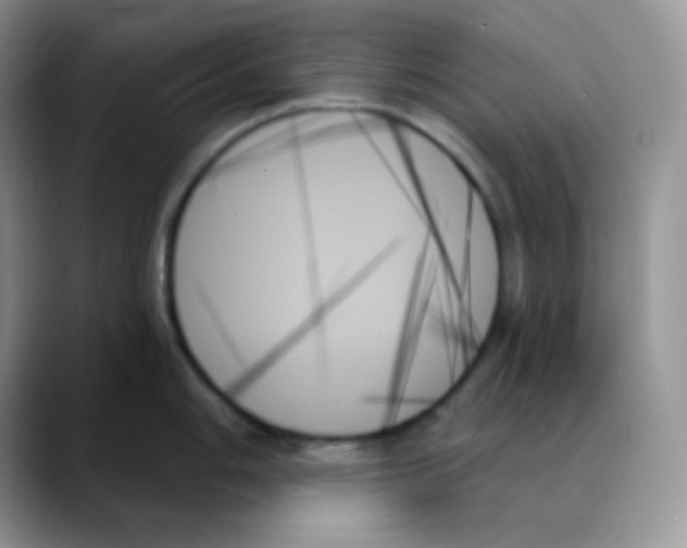 X0000088061006200706081646