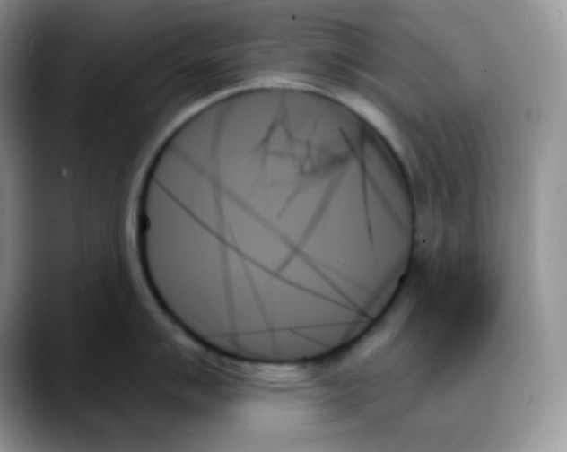 X0000088061007200706081646