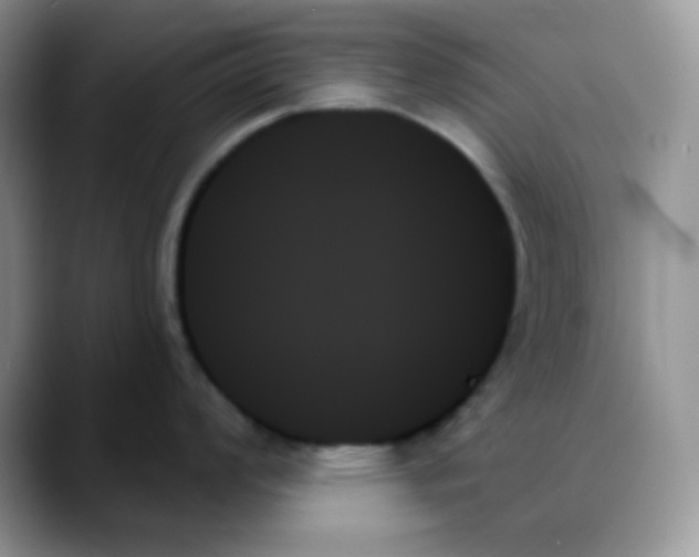 X0000088061008200706081645