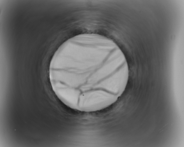 X0000088061009200706081645