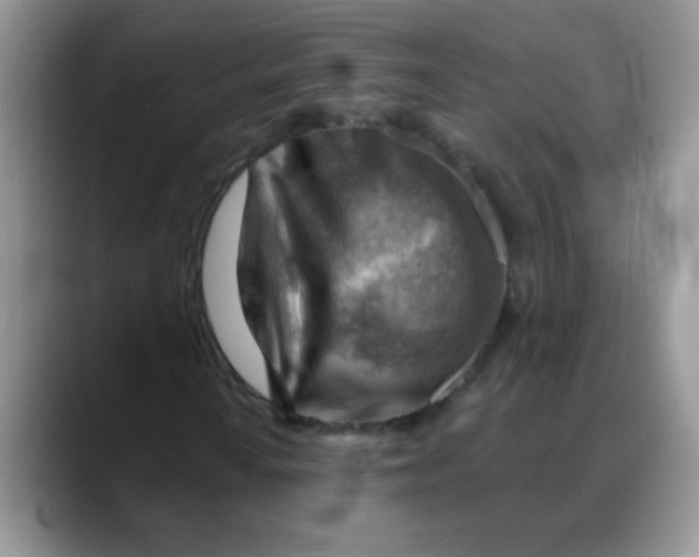 X0000088061010200706081645