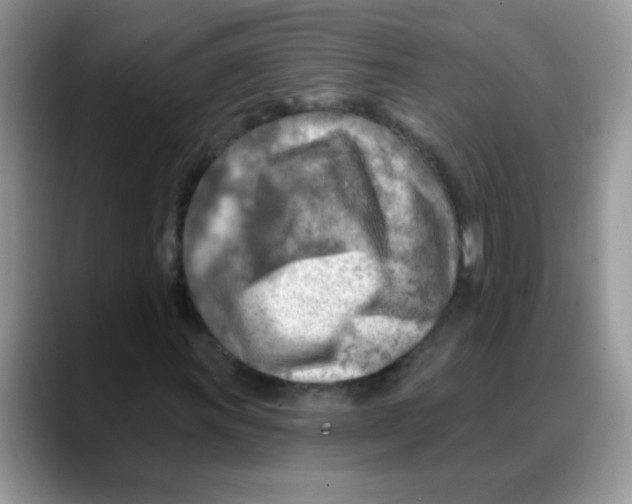 X0000088061011200706081645