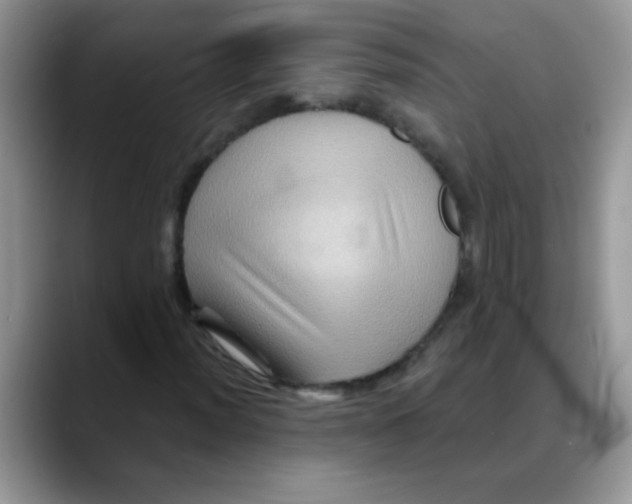 X0000088061012200706081645