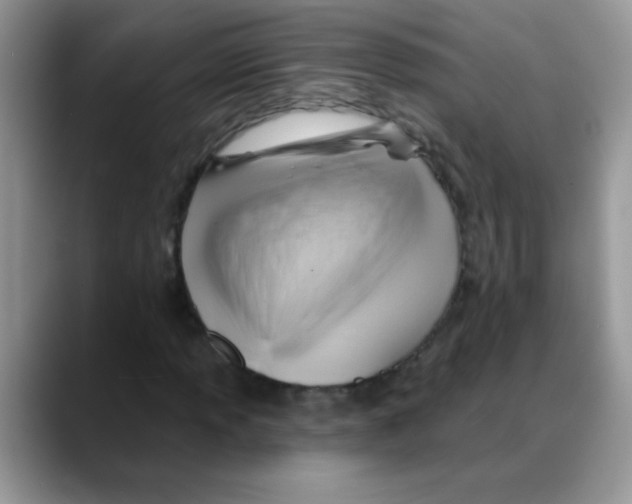 X0000088061013200706081645
