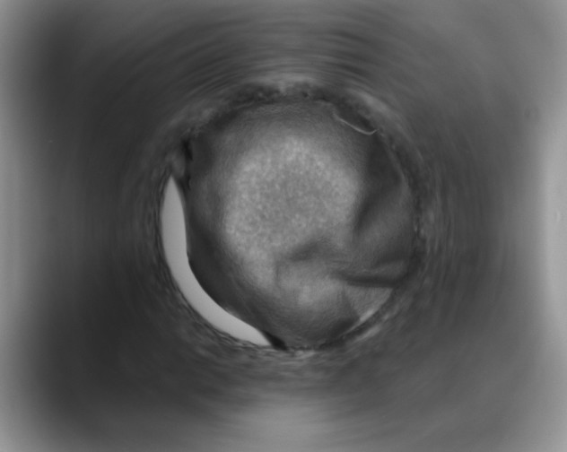 X0000088061014200706081645