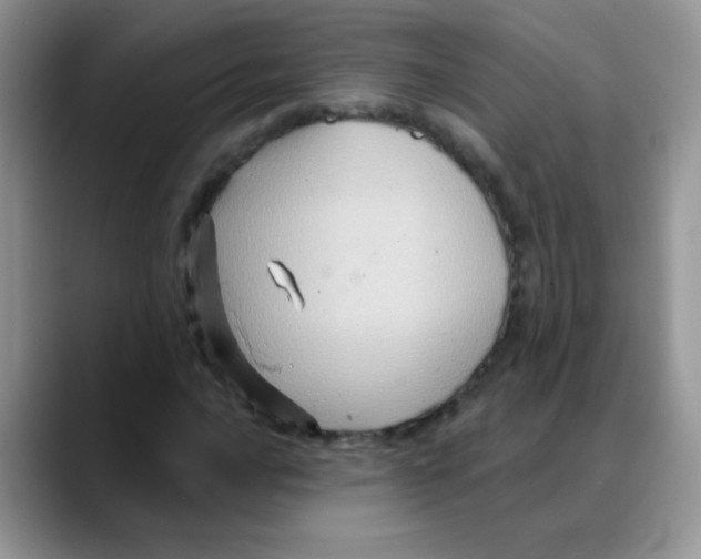 X0000088061016200706081645