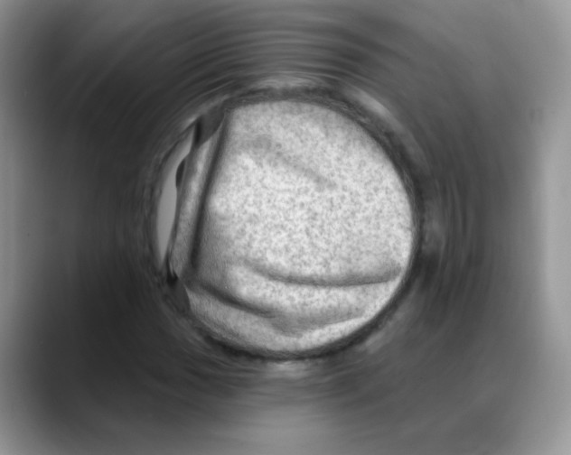 X0000088061017200706081645