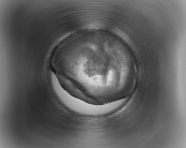 X0000088061018200706081645