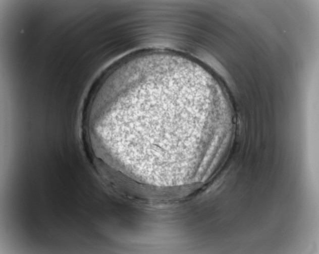 X0000088061020200706081645