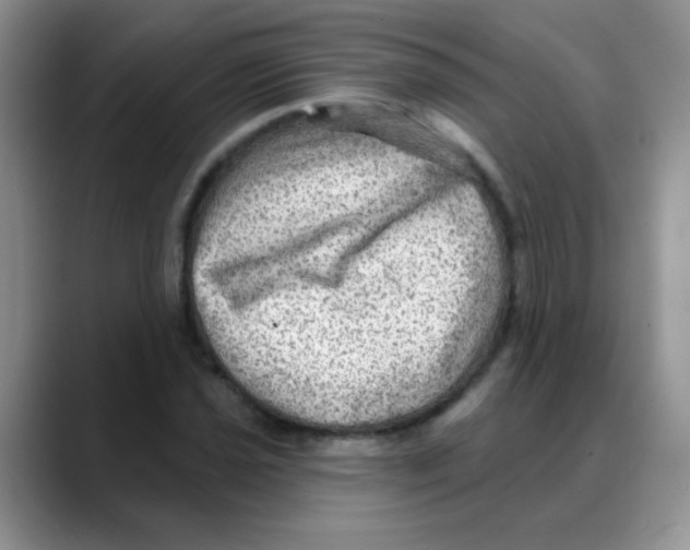 X0000088061021200706081645