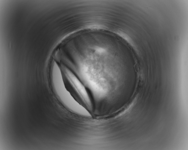 X0000088061022200706081645
