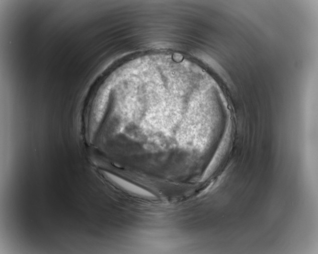 X0000088061023200706081645