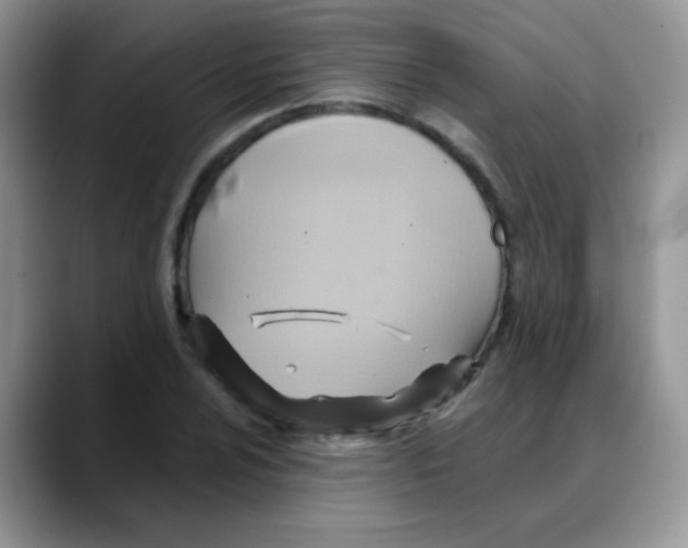 X0000088061024200706081645
