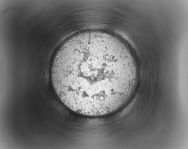 X0000088061025200706081645