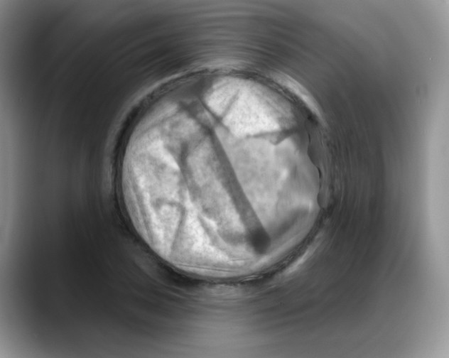 X0000088061027200706081645