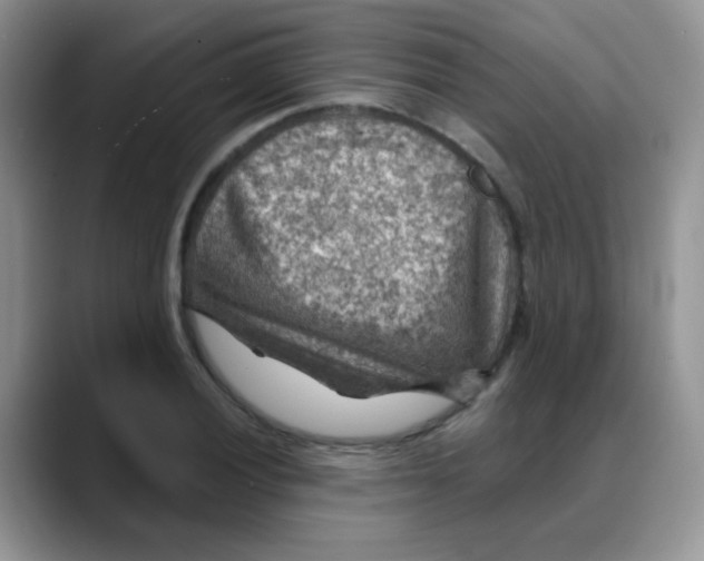 X0000088061028200706081645