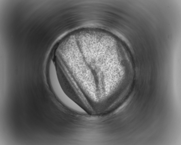X0000088061029200706081645