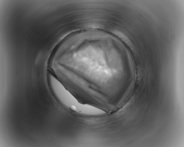 X0000088061031200706081645