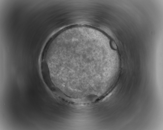 X0000088061032200706081645