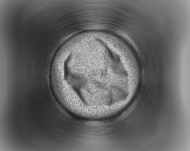 X0000088061033200706081645