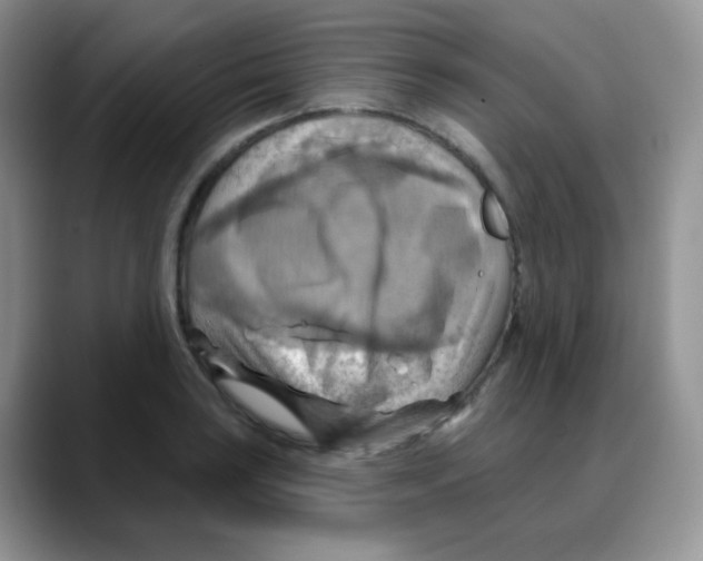 X0000088061035200706081645