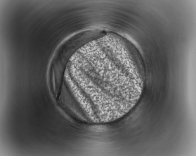 X0000088061037200706081645