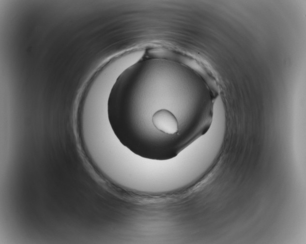 X0000088061038200706081645