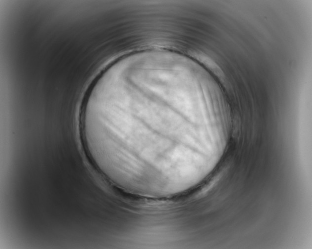 X0000088061039200706081645