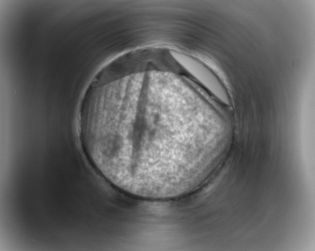 X0000088061040200706081645