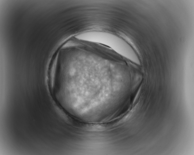 X0000088061042200706081645