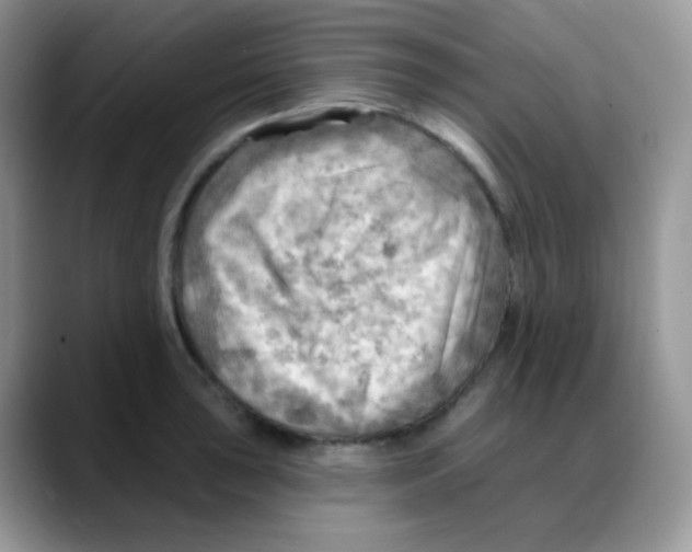 X0000088061043200706081645
