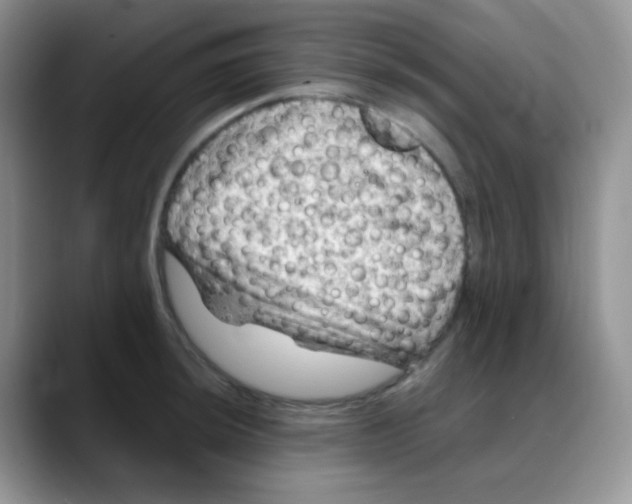 X0000088061044200706081645
