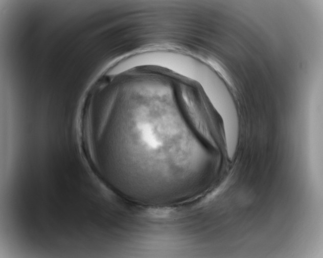 X0000088061046200706081645